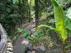 -秋霞圃
