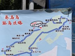 -养马岛旅游度假区