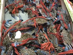 -南沙十九涌渔人码头-南门