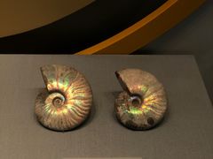 -湖南省地质博物馆