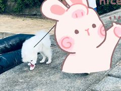 -西秀海滩公园
