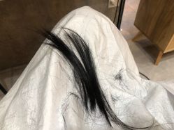 -可可丽舍