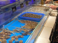 -加餐海鲜自助(宝龙一城店)