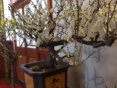 -听鹂馆饭庄(颐和园店)