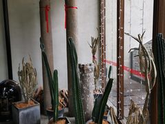 -几荷·恰似故人来(秀水广场店)