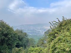 -火炉山森林公园