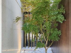 -银座岩