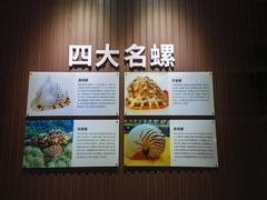 -贝壳王国博物馆