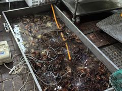 -淮城老友海鲜大咖龙虾烤吧(淮安店)
