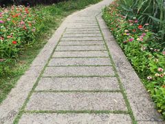 -长兴太湖图影湿地文化园