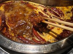 -渝味晓宇火锅(合川路店)