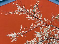 -钱王祠