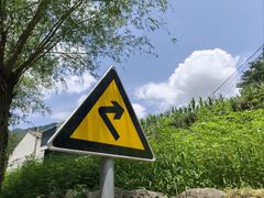 -王顺山国家森林公园