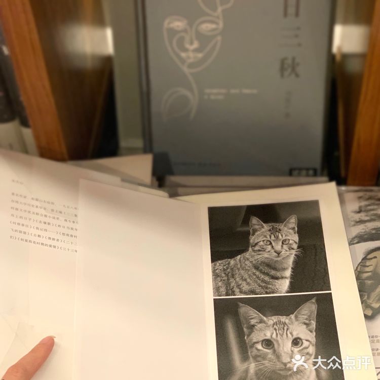 广州24小时书店📚最有氛围感的1200Bookshop