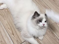 -美联众合24小时·皮肤科·外科·全科诊疗中心(华苑分院)