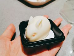 酸奶小白兔-海底捞火锅(吾悦广场店)