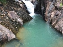 -广州白江湖森林公园