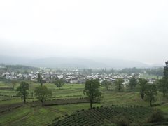 -塔川景区