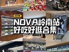 -岭南站NOVA