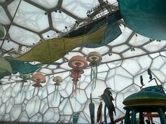 -水立方嬉水乐园