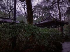 -灵隐飞来峰景区