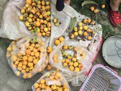 -惠王陵(地铁站)