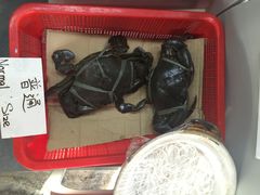 -龙海鲜螃蟹王(宏茂桥店)