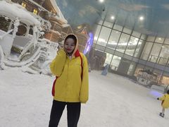 -世界之窗阿尔卑斯冰雪世界