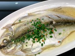 清蒸螺蛳青-程新大酒店(常州龙虎塘店)