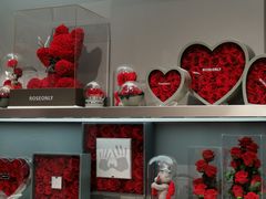 -ROSEONLY诺誓(广州K11店)