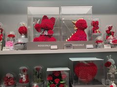 -ROSEONLY诺誓(国际广场购物中心店)