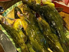 -铭记蛙小仙·活蛙畅享(CBD万达广场店)