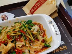 -魏家凉皮(马驹桥店)