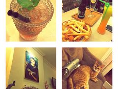 -猫色咖啡·猫咖
