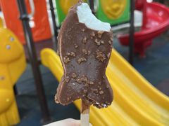 -1828王老吉·草本新茶(珠江新城地铁站店)