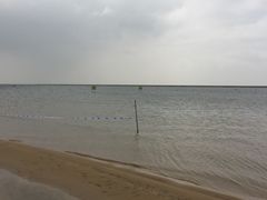 -碧海金沙