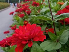 -长春公园(普阳街道)