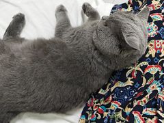 -上海市普陀区中心医院