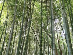 -宝岩生态观光园