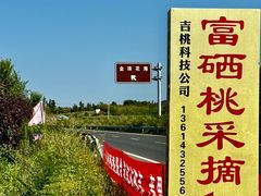 -北纬44度·金珠花海休闲农业旅游景区