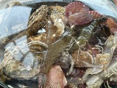 -前王院•巧克力海鲜市集餐厅(万平口店)