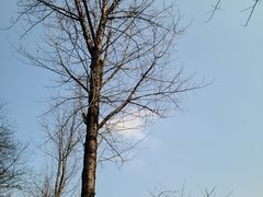 -重庆彩云湖湿地公园