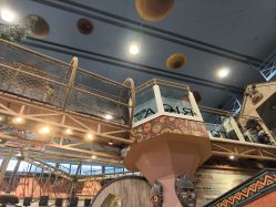 -卡通尼·Safari非洲探索乐园·生日会(金桥国际商业广场店)