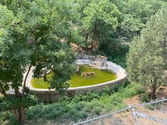 -石家庄市动物园