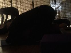 -Just Yoga 瑜伽·阿育吠陀
