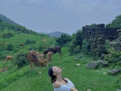 -大姆山草场