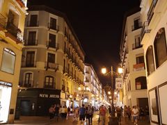 -皮拉尔圣母圣殿主教座堂