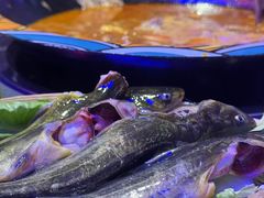 -鱼无双·酸菜鱼(来凤街店)