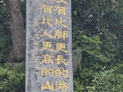 -洛阳白云山景区