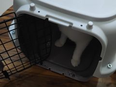 -瑞派康怡24h宠物医院·犬猫医疗中心·微创绝育(瑞景分院)